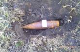 В Николаевской области найдены артиллерийские снаряды времен ВОВ
