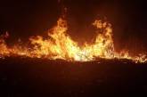 В Николаеве и области за сутки произошло 14 пожаров — выгорело более 7 га