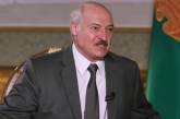 ЦИК Беларуси огласила предварительные итоги выборов президента: у Лукашенко 80% голосов
