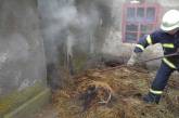 В Николаевской области спасатели несколько раз выезжали на пожары во дворах жителей