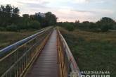 В Бердянске пенсионер сбросил собаку с моста на рельсы: ему грозит ограничение свободы