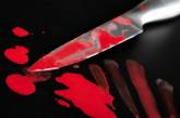17-летняя девушка зарезала сожителя матери в Херсонской области