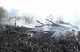 В Николаевской области за сутки произошло 11 пожаров на площади более 12 га