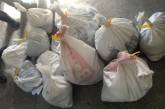 Пограничники Украины нашли 111 кило янтаря в автобусе, ехавшем в Венгрию