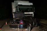 Под Южноукраинском столкнулись грузовик и Оpel - водитель и пассажир легковушки погибли на месте