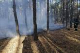 В Николаевской области за сутки несколько раз поджигали леса