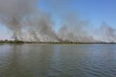 В Херсонской области сутки горели плавни на территории Национального природного парка