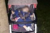 В столичном парке нашли коляску с 10-месячным ребенком