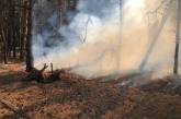 В Николаеве дважды за день подожгли Балабановский лес