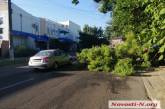 В Николаеве упавшая ветка дерева перегородила проезд по ул. Артиллерийской