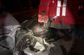 Ночью в Николаеве электромобиль Tesla Model S врезался в пожарную машину: пострадал водитель. ВИДЕО