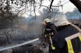 На востоке Украины спасатели продолжают тушить лесные пожары