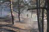 В Николаевской области дважды случались пожары в лесу