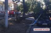 В Николаеве дерево упало на припаркованные автомобили