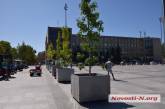 В Николаеве на Серой площади поставили деревья в серых кадках