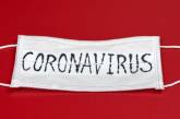 В мире количество заболевших коронавирусом приближается к 30 миллионам