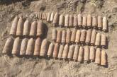 Во время прогулки житель Николаевской области нашел 52 снаряда