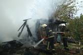 В Николаевской области местный житель вместе с мусором едва не сжег свой дом   