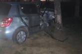 В Ужгороде произошло пьяное ДТП, погибла 19-летняя девушка