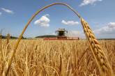 В Украине ожидается самый низкий за последние годы урожай