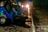 В Николаевской области столкнулись микроавтобус и грузовик: пострадали 5 человек