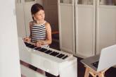 В Николаеве детская музыкальная школа перешла на «дистанционку»