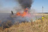 В Николаевской области за день выгорело более 20 га травы и кустарников
