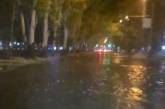 В Николаеве после ливня затопило центральные улицы. ВИДЕО