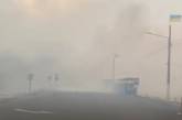 Пожар в Луганской области: огонь добрался до КПВВ Станица Луганская