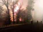 Устанавливаются причины возгорания лесных массивов и жилого сектора близлежащих населенных пунктов в Луганской области