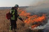 Пожары на Луганщине: потушены два очага
