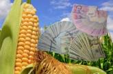 В Николаевской области неизвестные незаконно засеяли поле кукурузой: урожай собран в пользу государства
