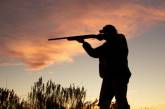 В Николаевской области инспекторы обнаружили охотников, нарушавших правила охоты