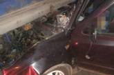 В Одесской области Volkswagen врезался в грузовик: один погибший, двое пострадавших