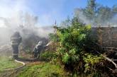 В Николаевской области сгорела тонна сена — от огня спасли дом