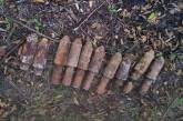 В Николаевской области мужчина нашел 16 винтовочных гранат