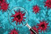 Ученые нашли новый способ заблокировать коронавирус