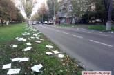 В центре Николаева проспект засыпали «рекламным мусором»