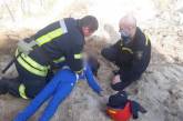 Песчаный карьер, где погиб ребенок, незаконный: подробности трагедии в Николаеве