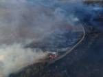 В&nbsp;Николаевской области произошел пожар площадью 570 га, который повлек за собой убытки в общей сумме 1 666 700 гривен
