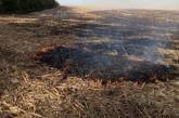 В Николаевской области оштрафовали «агрофирму», которая сжигала стерню кукурузы на полях