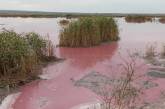 Под Новой Одессой вода в Южном Буге стала красной. ВИДЕО