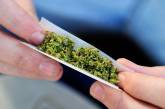 «Испытание станет фатальным»: николаевский психолог рассказал, что скрывается за легализацией марихуаны