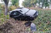 В Николаевской области пьяный водитель «Опеля» сбил подростка и вылетел в кювет