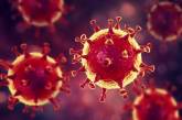 80% украинцев болеют коронавирусом в легкой форме