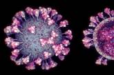 Ученые создали самую точную 3D-модель коронавируса. ВИДЕО