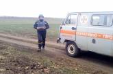 В Николаевской области пиротехники уничтожили 9 артснарядов