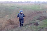В Николаевской области пиротехники уничтожили 42 артснаряда