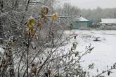 Города под Сумами завалило первым снегом. Фото