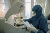 В Сибири обнаружили мутацию коронавируса